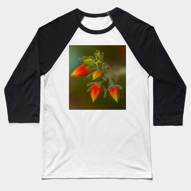 Echeveria Emerging Baseball T-Shirt by Michaelm43